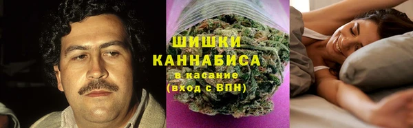 прущие грибы Сатка