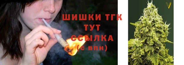 трава Аркадак