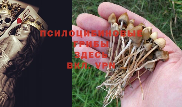 каннабис Арсеньев