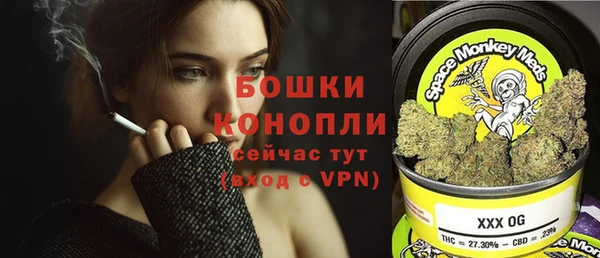 прущие грибы Сатка